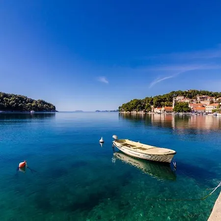 In With Sea View, Terrace, Air Conditioning, Wifi 4979-1 Apartman Cavtat